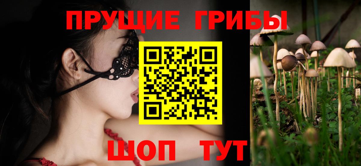 Галлюциногенные грибы Psilocybine cubensis  Вход с VPN  Свободный 